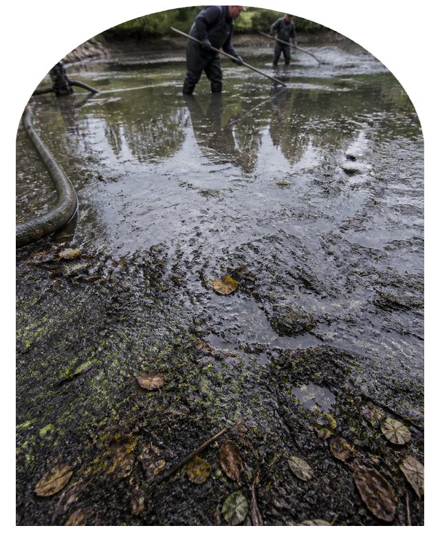 Очистка пруда в Кимовске от ила мусора и водорослей с вывозом